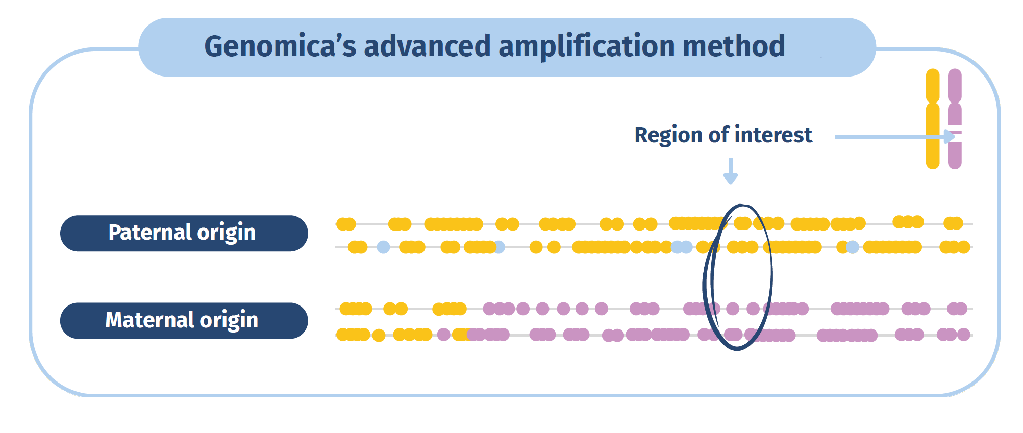 Advanced amplification method GENOMICA