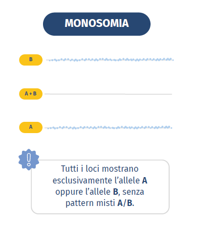 Monosomia - analisi BAF basata su SNP