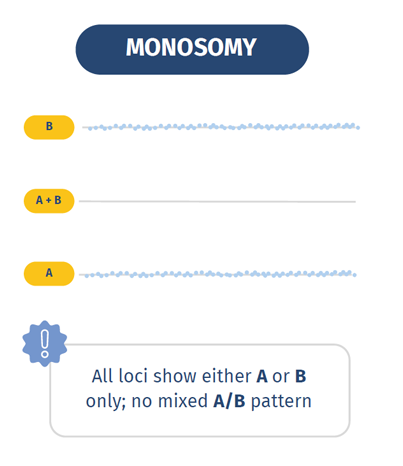 Monosomy - SNP-based BAF analysis