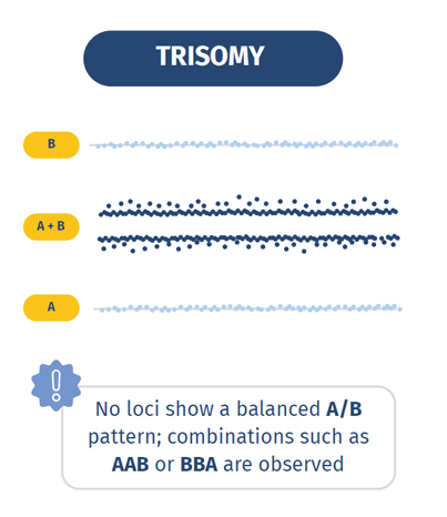 Trisomy - SNP-based BAF analysis