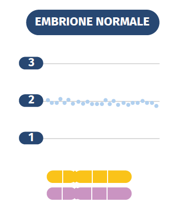 Embrione normale - analisi del numero di copie mediante NGS
