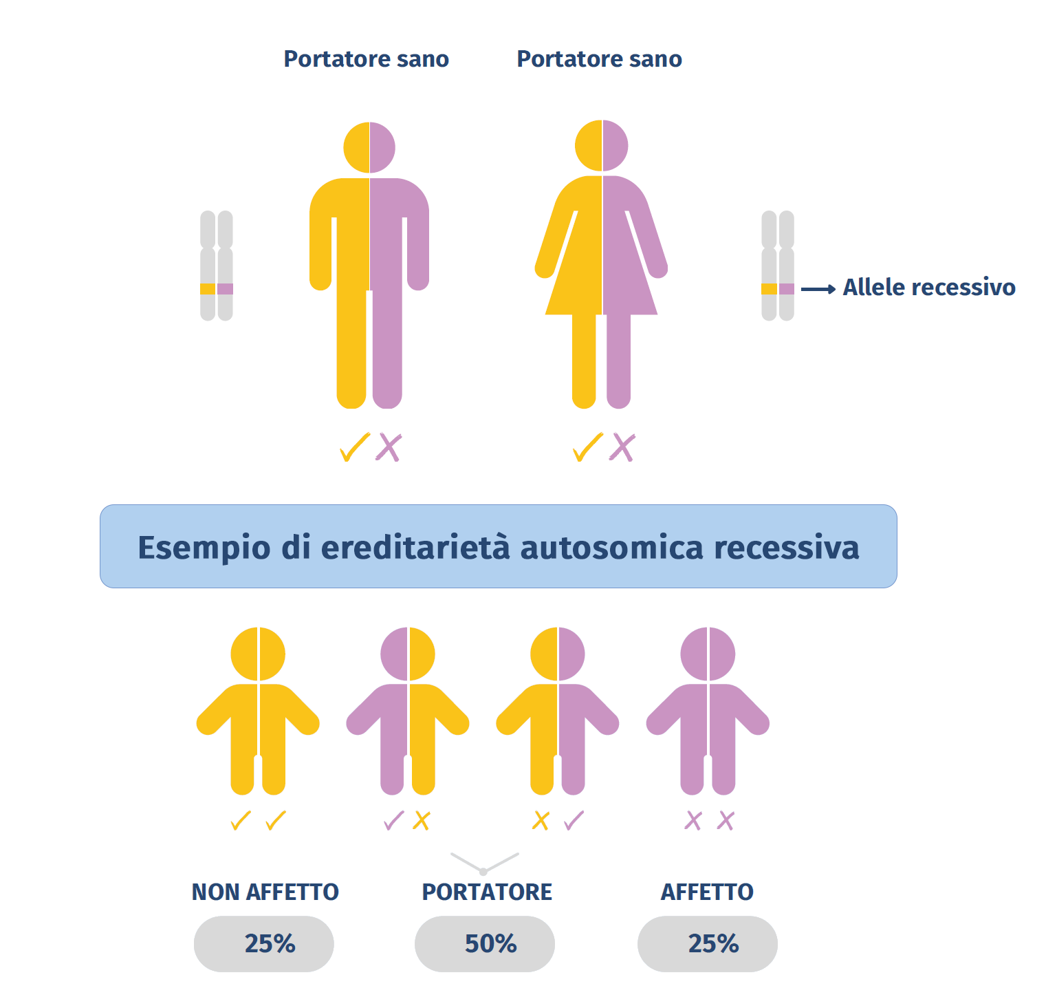 Esempio di ereditarietà autosomica recessiva