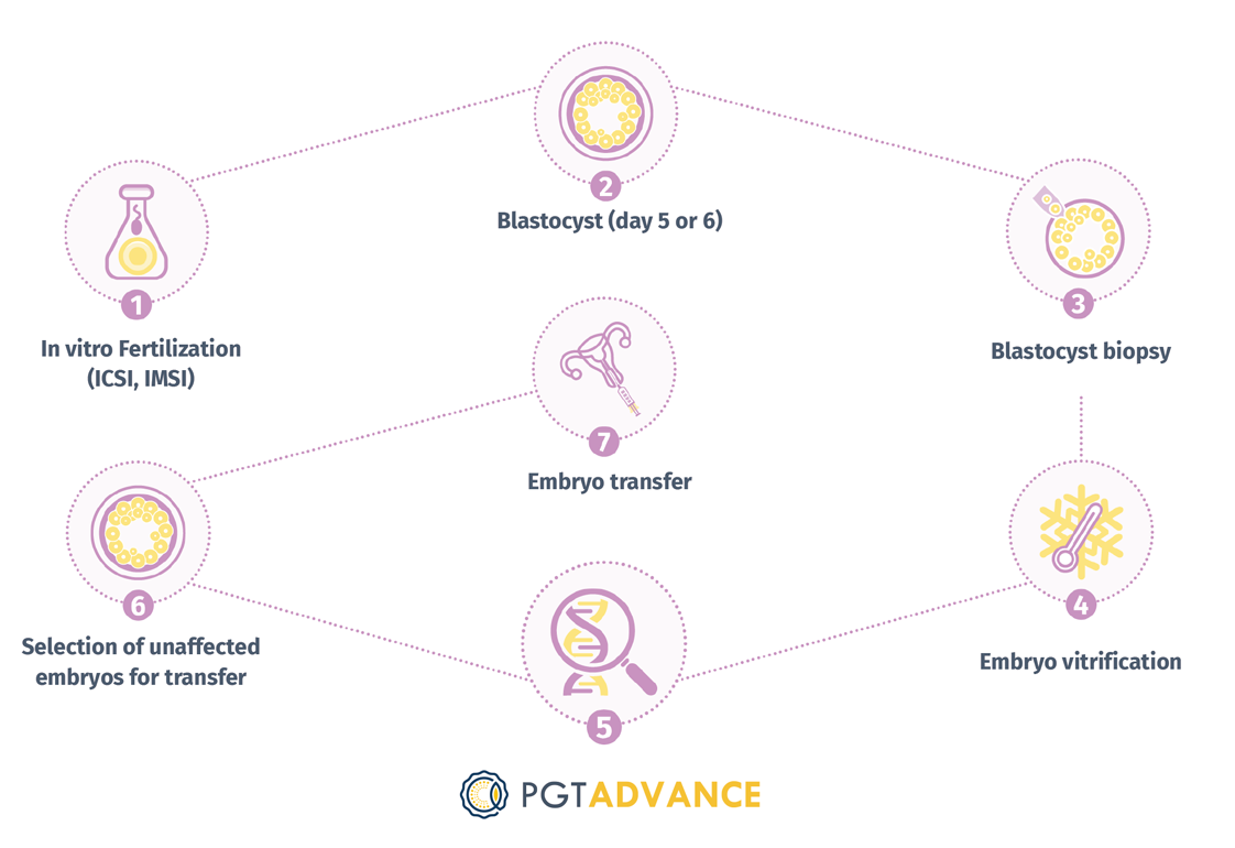 PGT procedure