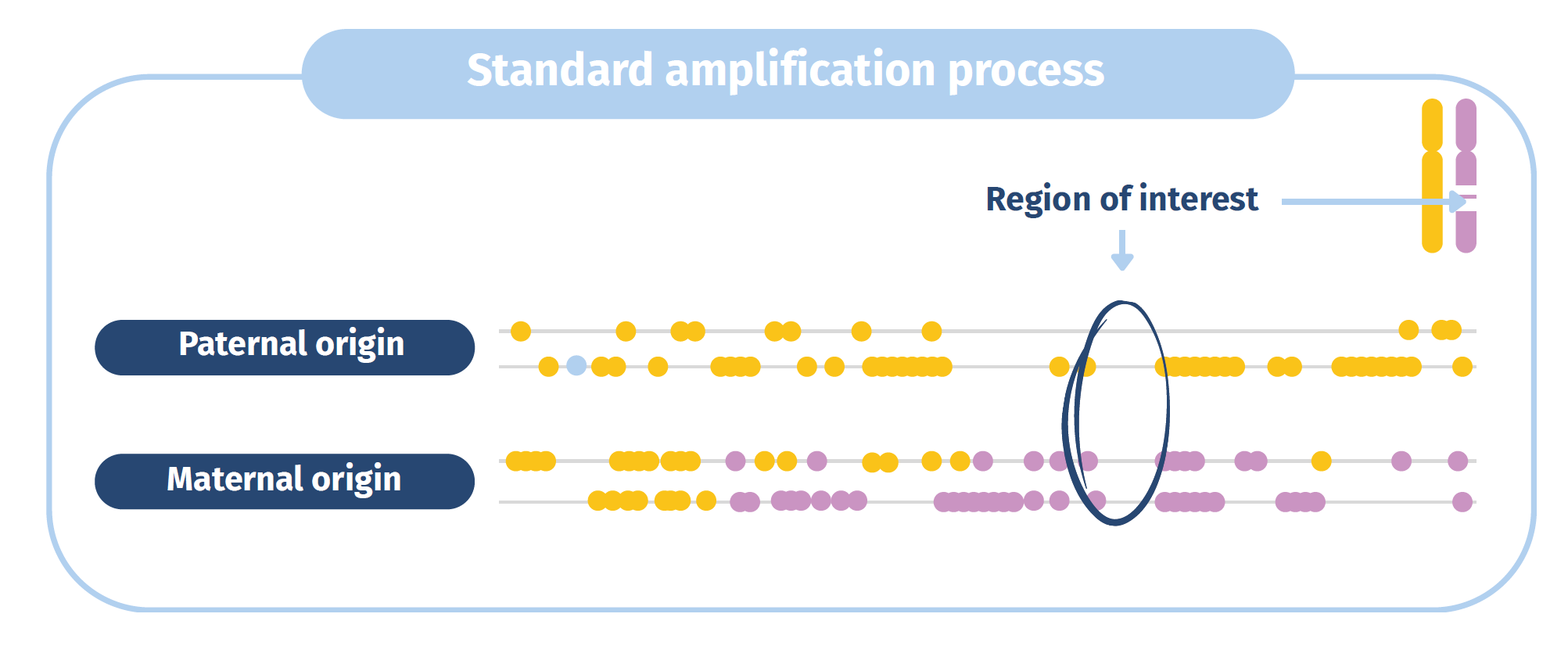 Standard amplification process